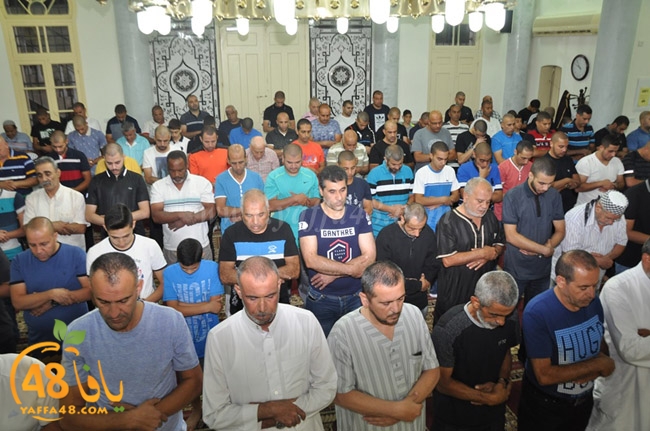 nozha mosqueqk (20).JPG